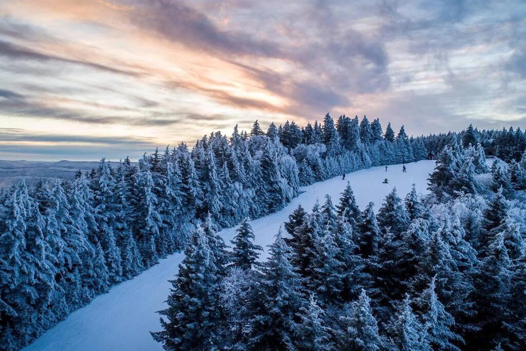 Mountain Lodge Getaway, Ski-In/Ski-Out, Heart Of The Village Snowshoe Εξωτερικό φωτογραφία
